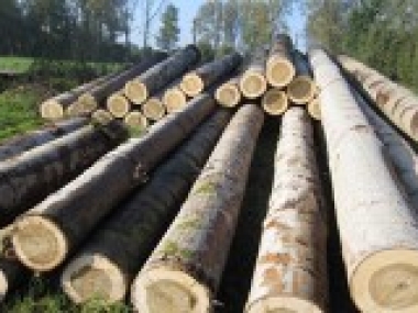 Bộ Công Thương gia hạn lệnh ngừng tạm nhập, tái xuất gỗ rừng tự nhiên từ Lào và Campuchia