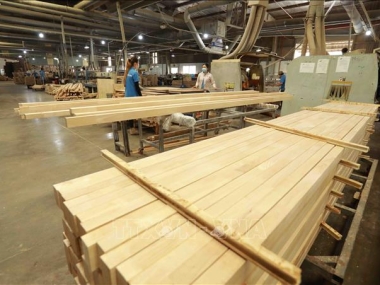 Ngành gỗ Việt Nam xanh hóa để tăng cạnh tranh